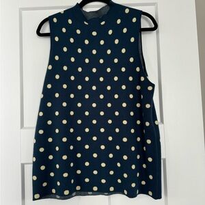 Ann Taylor Polka Dot Sweater